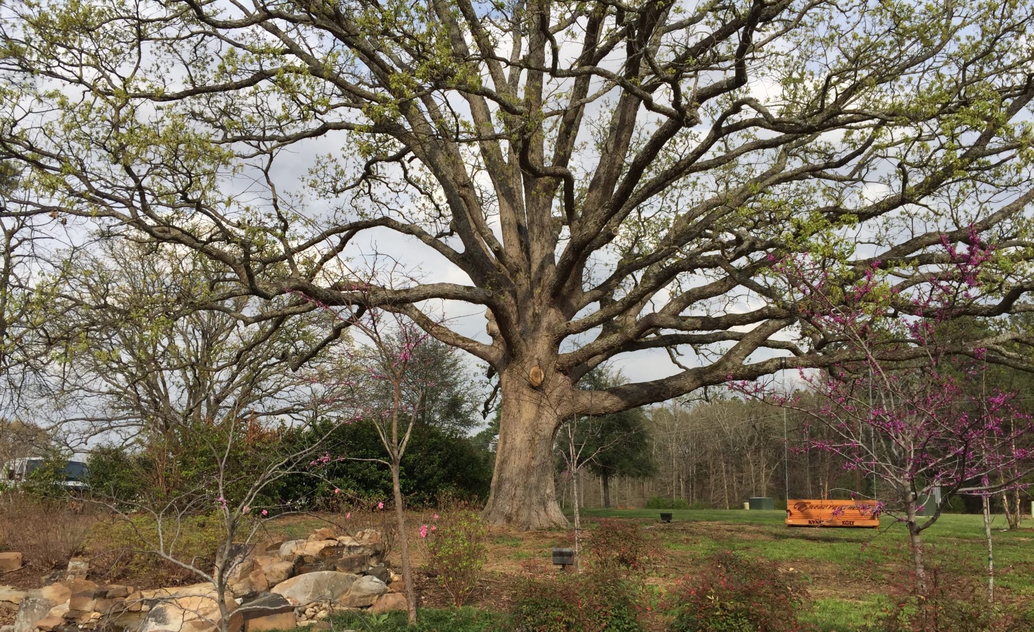 89.5 KVNE East Texas Christian Radio Deeply Rooted in Christ Heard On Air Blog