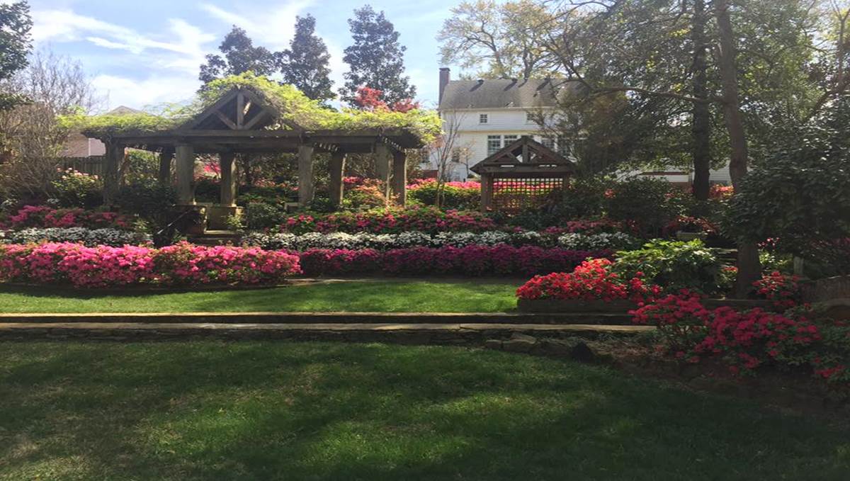 89.5 KVNE East Texas Christian Radio God's Beauty Shines in Nature Heard On Air Blog