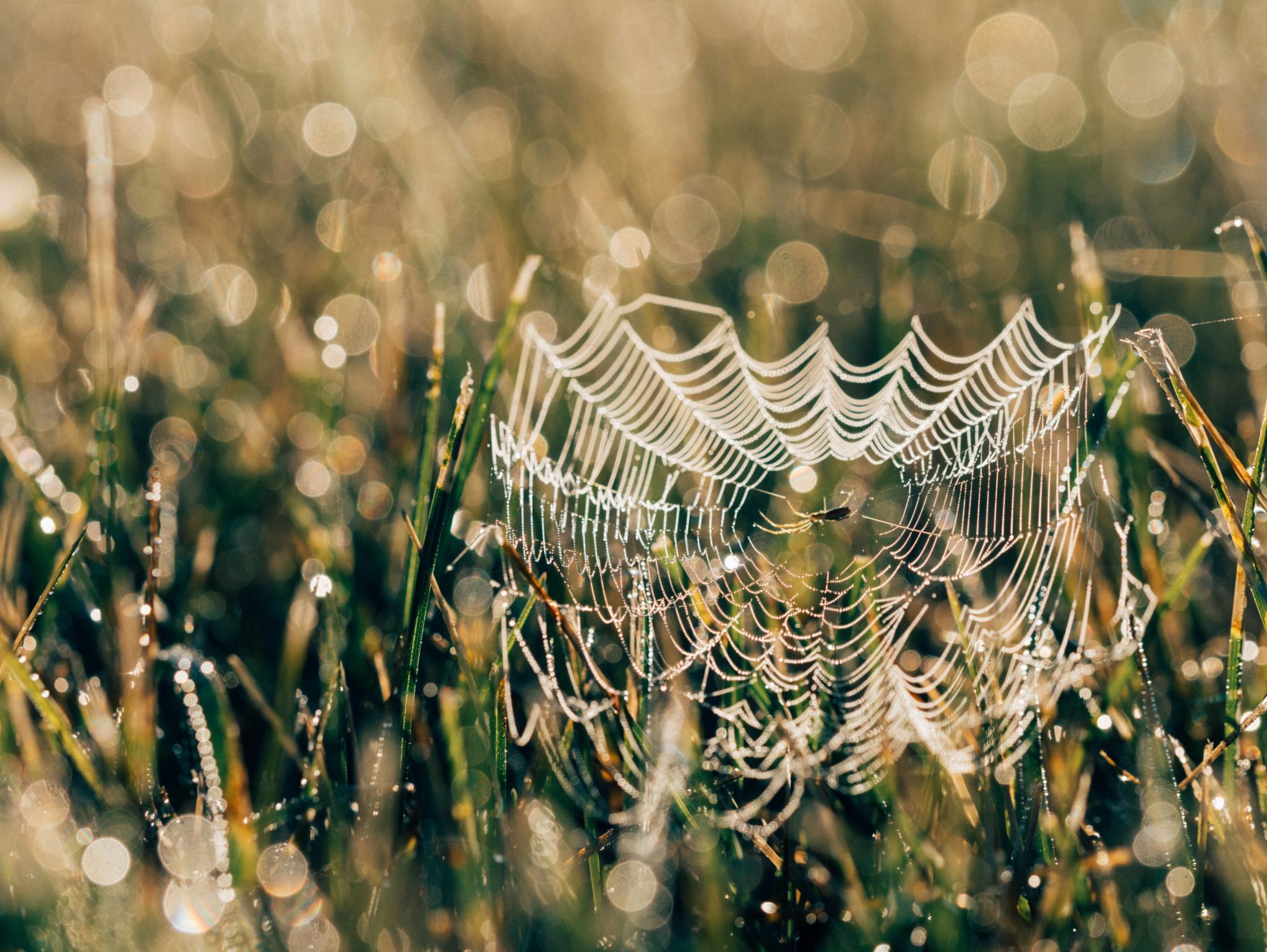 89.5 KVNE East Texas Christian Radio Heard On Air Blog Spiderweb
