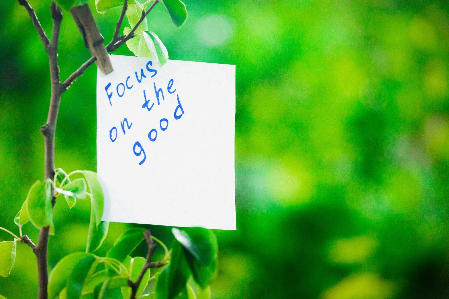 89.5 KVNE East Texas Christian Radio Focus on the Good Things in Life Heard On Air Blog Featured Image