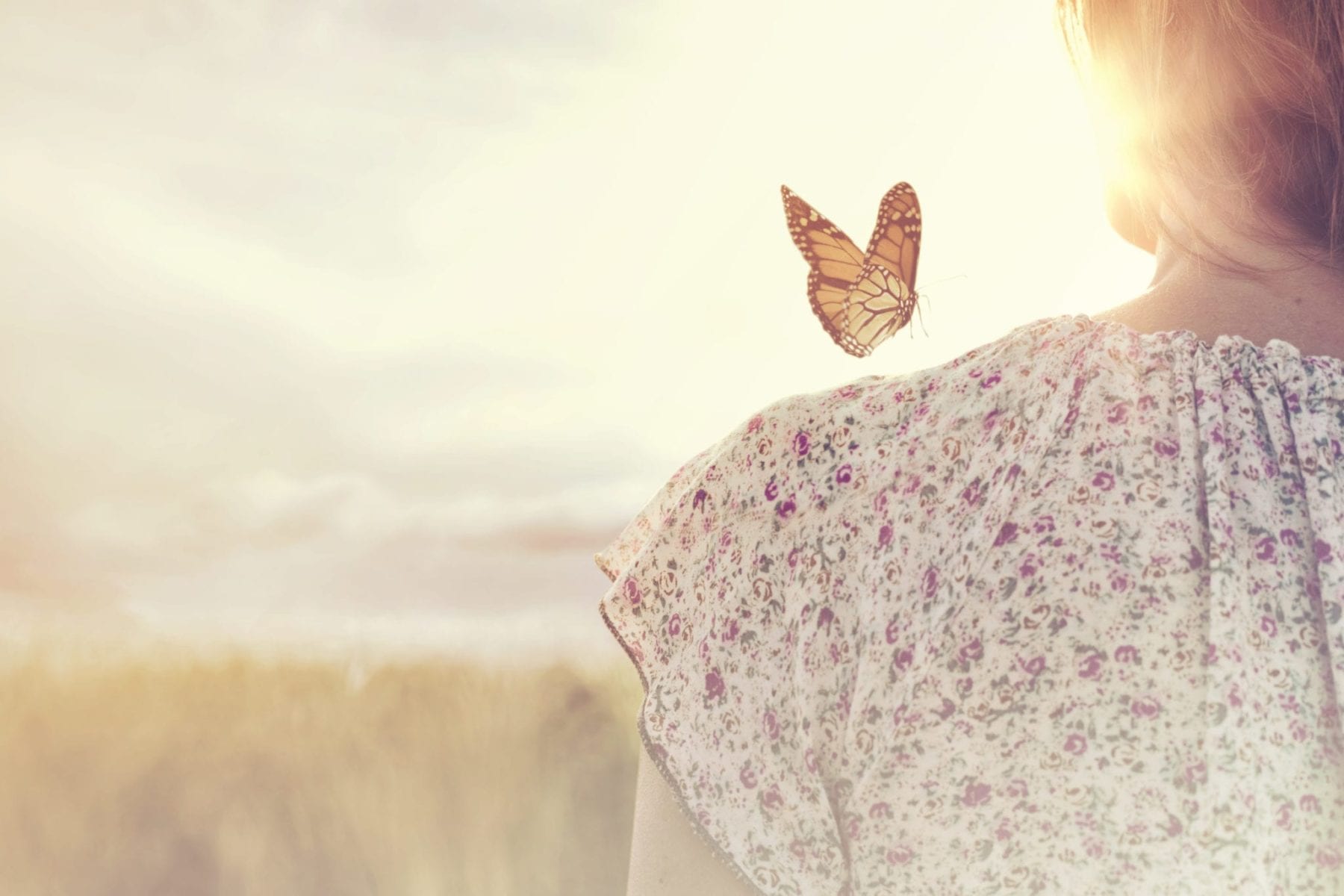 89.5 KVNE East Texas Christian Radio The Beauty of Butterflies Heard On Air Blog Featured Image
