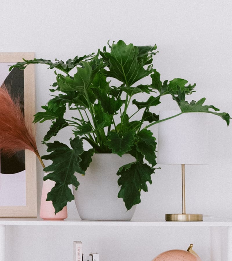 home-remodelling-61-3 Listen to KVNE online via our streaming audio player