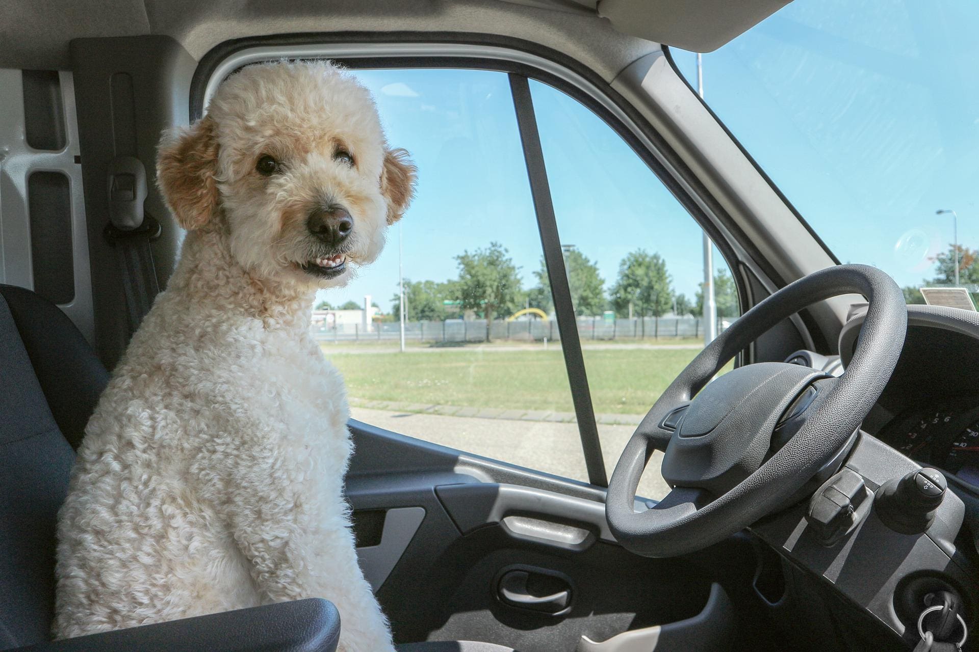 Drive My Car